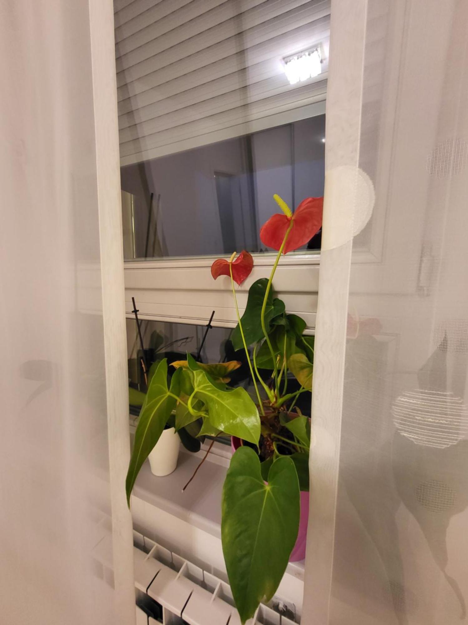 Apartman Jarun Lake Lux Zagreb Eksteriør billede