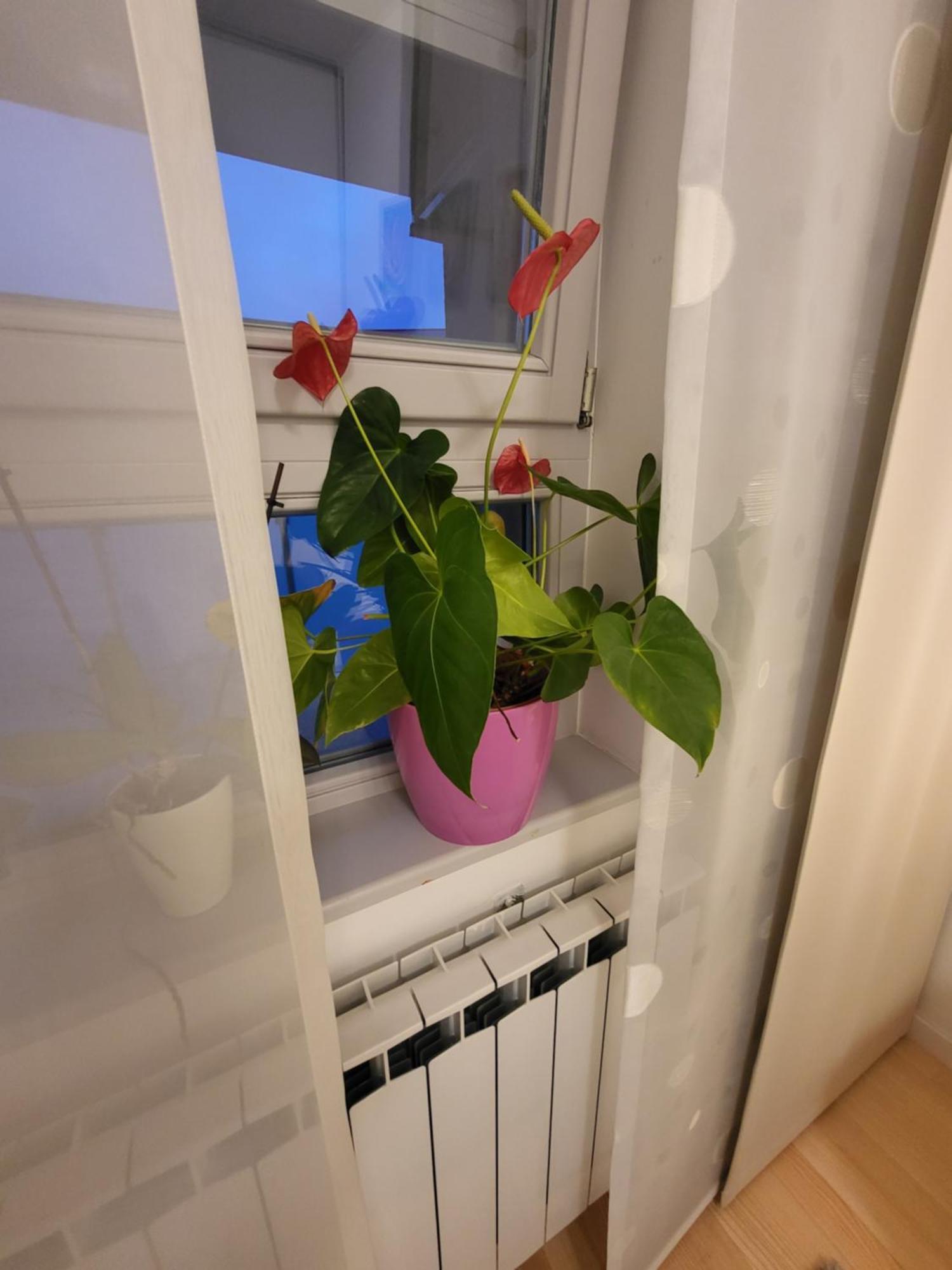 Apartman Jarun Lake Lux Zagreb Eksteriør billede
